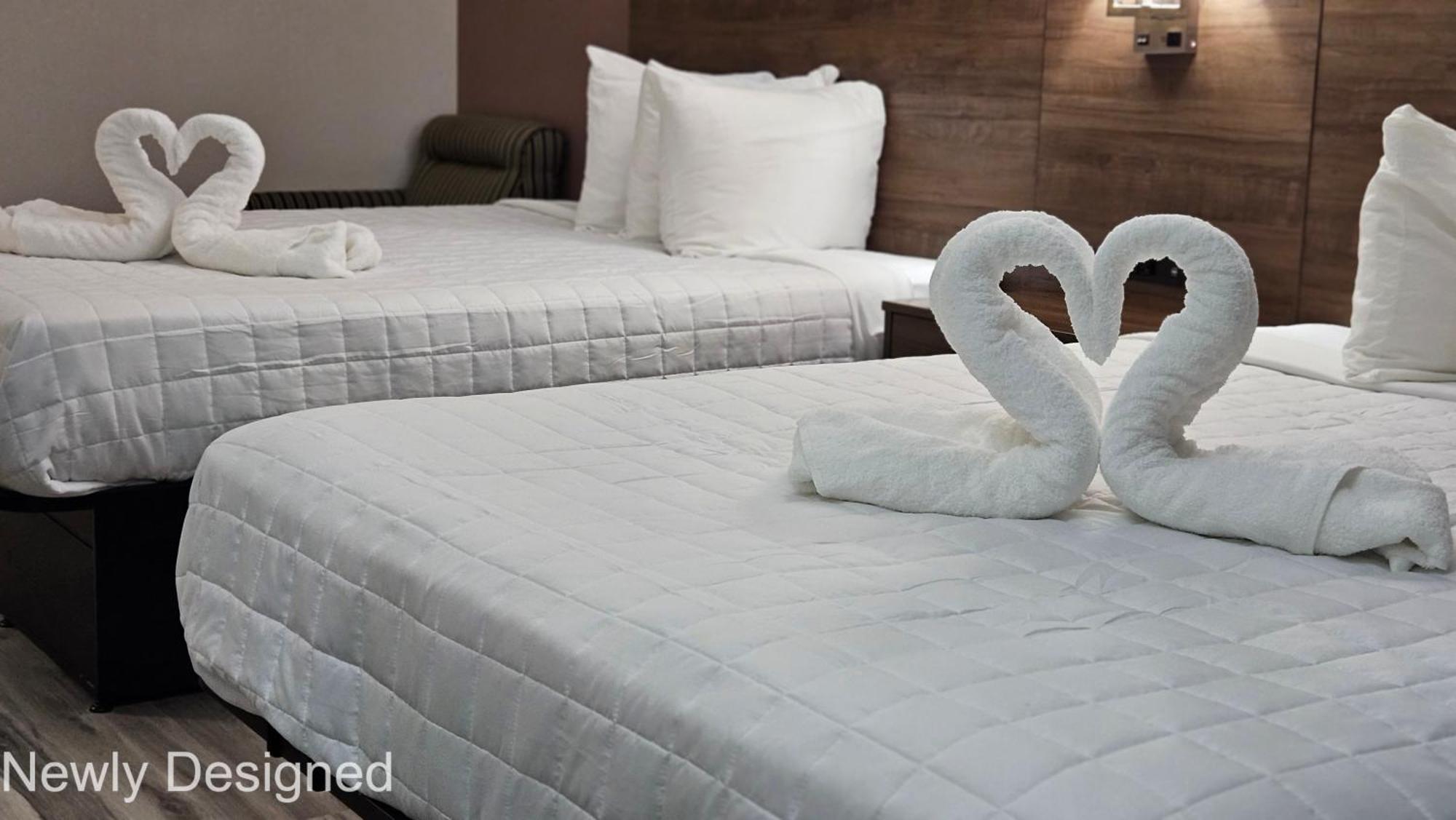 Best Western Hopkinsville Ky - Brand New Rooms Exterior foto